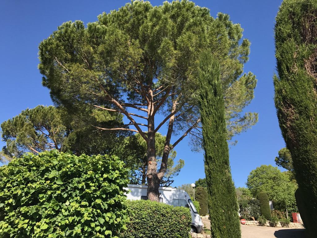 Camping La Paoute Grasse Exteriér fotografie